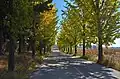 Paved road to Panmunjon, on the border with South Korea