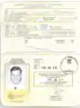1995 South African Passport pages 2 and 3. Passport information was mostly handwritten and some stamps were used.