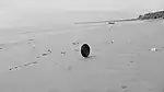A film for imaginary music,&nbsp;2014