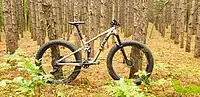 Full Suspension fat-tire bike