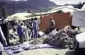 A market with useful plants. Tents. Bundles of plants with pink flowers, Tleta Beni Oulid, 1997