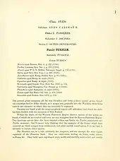 page of text