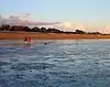 Bognor Reef