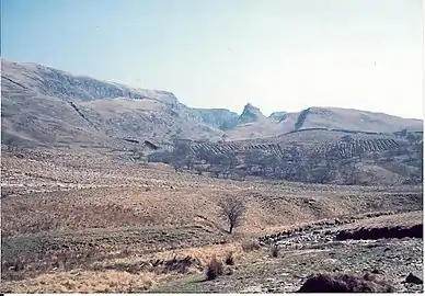 Image from 1974