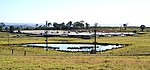 Inghams Broilers factory farm