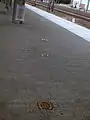 In some places horseshoes can be seen on the platform