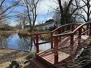 Asian Water Garden