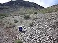 Trilobite hunting area next to the roadway has good access and easy parking (2017)