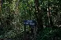 BNR tree nursery