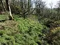 Outer ditch and bank on the SE side.