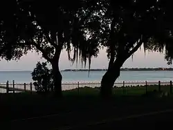Ballast Point Neighborhood Overlooking Hillsborough Bay