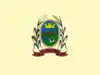Flag of São Sebastião do Rio Verde
