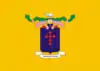 Flag of Francisco Dantas