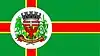 Flag of Pedrinhas Paulista