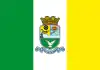 Flag of Braço do Trombudo