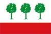 Flag of Olombrada