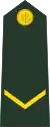 ল্যান্স কর্পোর্যালLyānsa karpōrāla(Bangladesh Army)