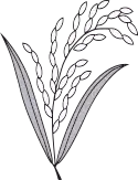 Jatiya Oikya Front symbol