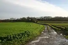 Barking Woods