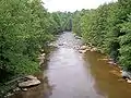 The Blackwater River near where it crosses into Blackwater Falls State Park