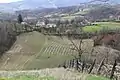 Bogatić - Panorama