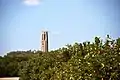 From the orange groves below the ridge