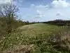 Bosworth Mill Meadow