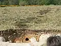 Breckland soil excavation