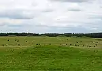 Pair of bowl barrows 405&nbsp;m east of East Water Drove (Part of Priddy Nine Barrows Cemetery)