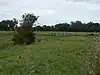 Burgh Common and Muckfleet Marshes