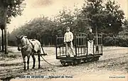 Food transport