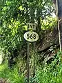 PR-801 west near PR-568 junction in Palmarito, Corozal