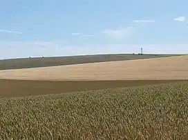 Newmarket Hill