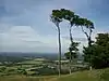 Chanctonbury Hill