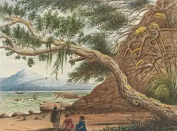 View near Auckland: Maori Warrior and Women (1860)Artist: Charles Emilius Gold