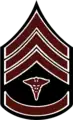 Rank insignia for Sergeant First Class, 1902–1909.