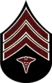 Rank insignia for Sergeant, 1902–1909.