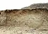 The Naze