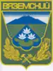 Vyazemsky District