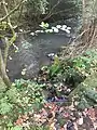 The Cornie Burn where it joins the Midhope Burn and thence passes into the Forth