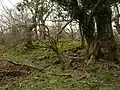 Dwelling site in Sorbie, Dowalton Loch.