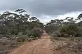Dirt road running through the park.