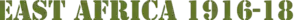 Computer Simulation of Battle Honour