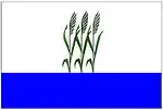 Flag of Kamyshin