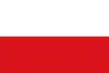Flag of Natagaima