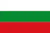 Flag of Nemocón