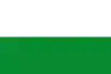 Flag of Ubaté