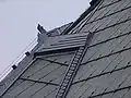 Roof detail