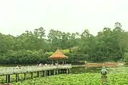 The Free Life Pond.