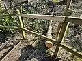 Repaired rail on mound above birch felled by Storm Eunice